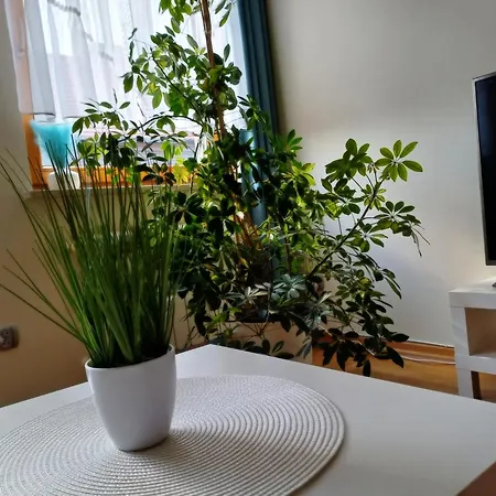 Aneta Apartment