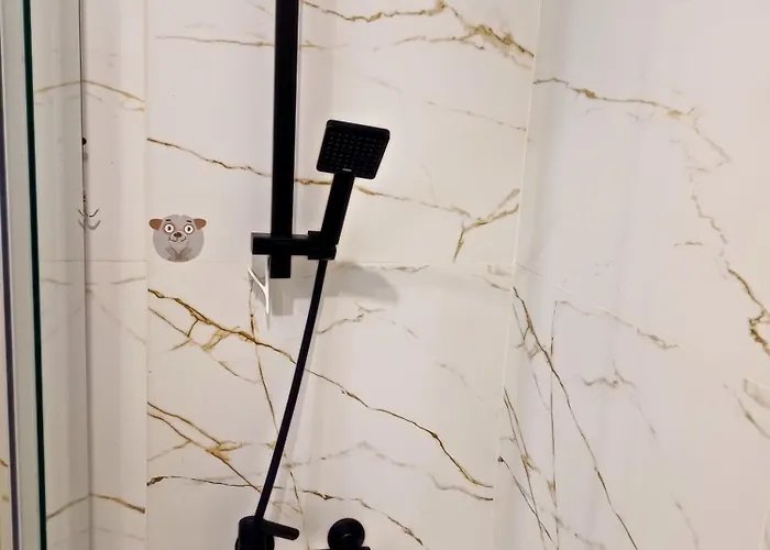 Aneta Apartment Pleszew