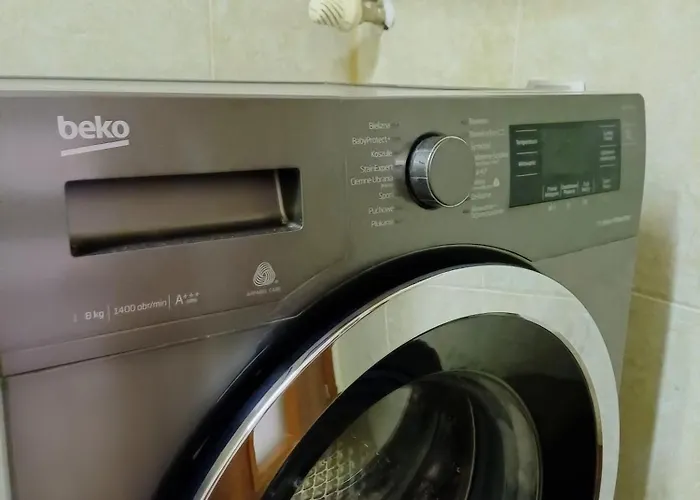 Apartment Aneta Pleszew